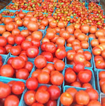 Tomato prices.jp